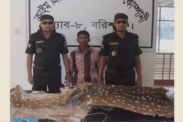 পিরোজপুরে হরিণের চামড়াসহ যুবককে আটক করেছে র‌্যাব-৮ ।।