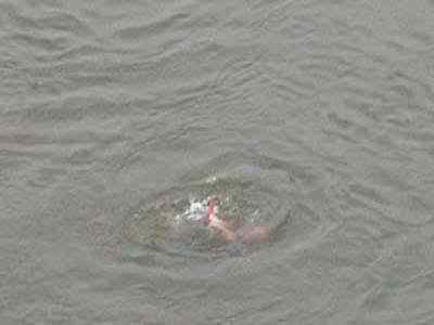 কুমিল্লার চৌদ্দগ্রামে জলে ডুবে শিশুর মৃত্যু ।।