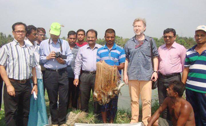 আন্তর্জাতিক বাজারে চিংড়ীর ব্রান্ড তৈরির লক্ষে ব্যাপক উদ্যোগ ।। ডুমুরিয়ায় বড়ডাঙ্গার চিংড়ী খামার পরিদর্শনে বিদেশী প্রতিনিধি