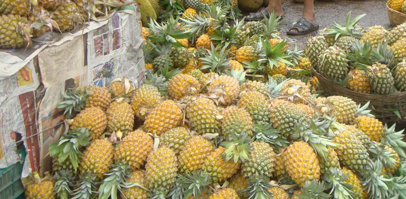 আগাম আনারসে ভরপুর রাঙ্গামাটির বাজার ।।