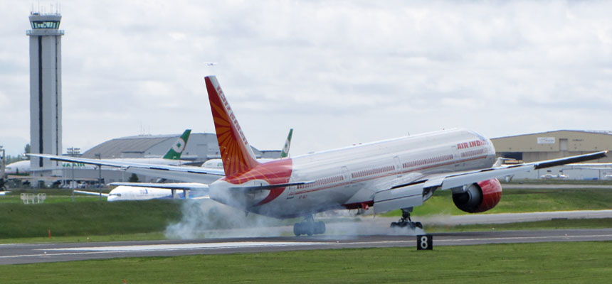 ইঁদুরের ভয়ে এয়ার ইন্ডিয়া বিমানের জরুরি অবতরণ