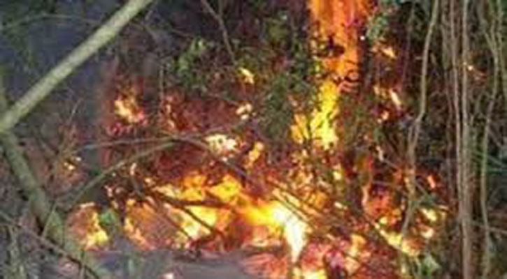 সুন্দরবনে ফের আগুন ।।