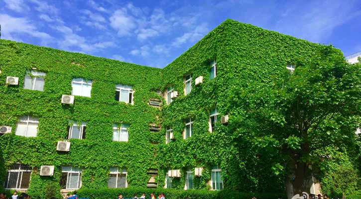 চীনে সবুজ স্কুল ।।