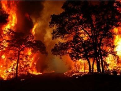 দাবানলে দাউ দাউ জ্বলছে প্রায় গোটা উত্তর ভারত ...