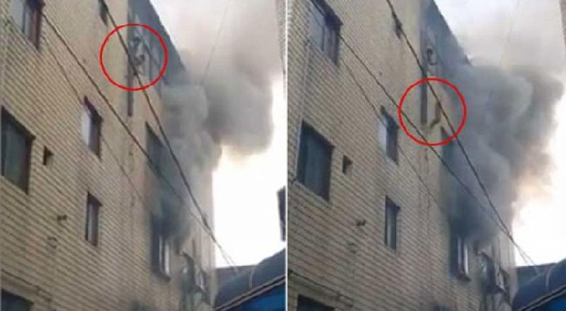 নিজ সন্তানকে বাঁচাতে পাঁচতলা ভবন থেকে নিচে ফেলে দিলেন এক কোরিয়ান মা ।।