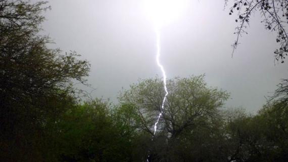 চাঁদপুরের মতলবে বজ্রপাতে স্বামী-স্ত্রীর মৃত্যু