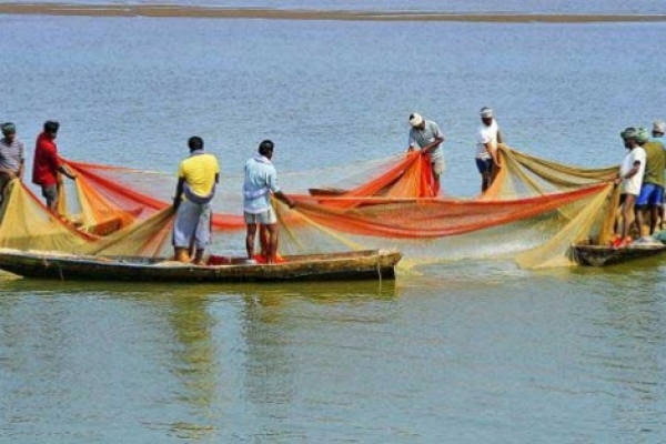 বঙ্গোপসাগরে আগামি ২০ মে থেকে মাছ শিকার নিষিদ্ধ করেছে সরকার ...