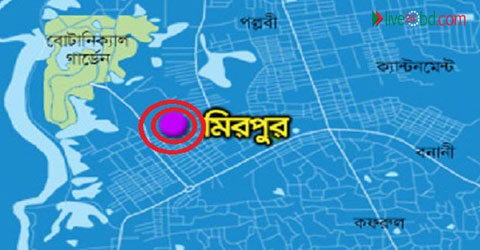 রাজধানীর মিরপুরে পিকআপের ধাক্কায়, শিক্ষক নিহত ।।