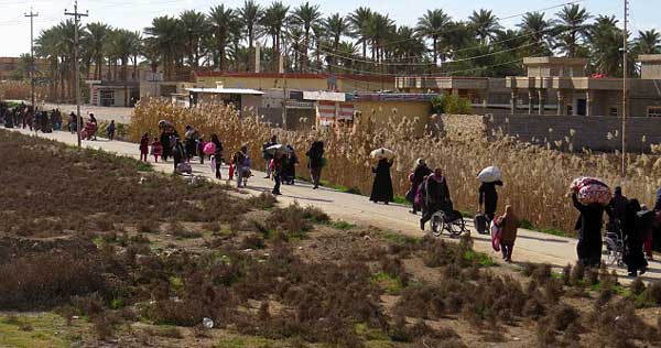 ফালুজা থেকে ছদ্মবেশে পালাচ্ছে আইএস জঙ্গিরা