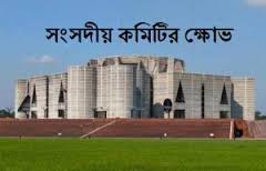 চীন থেকে নিম্ন মানের জুতা এনে বাজারজাত করছে জনপ্রিয় জুতা কোমপানি বাটা ।। সংসদীয় কমিটিতে ক্ষোভ