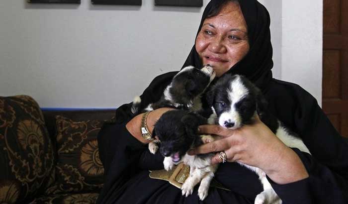 সংযুক্ত আরব আমিরাতে লাইসেন্স ছাড়া কুকুর পালন অবৈধ