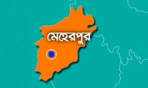 মেহেরপুরে সাপের কামড়ে কৃষকের মৃত্যু