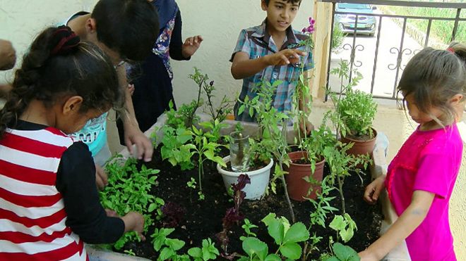 লেবাননে সিরিয় শরণার্থীদের জন্য চাষাবাদের সুযোগ ।।