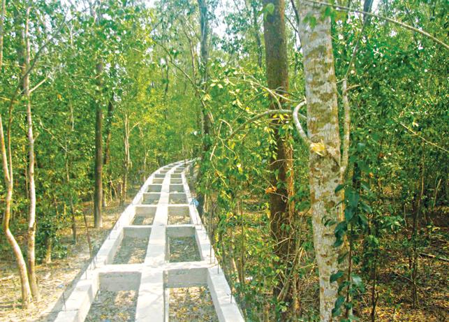 প্রায় দুই মাস পর পূর্ব সুন্দরবনে প্রবেশের উপর আরোপিত নিষেধাজ্ঞা আগামীকাল তুলে নিচ্ছে বন বিভাগ