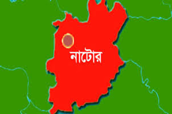 নাটোরের লালপুরে ট্রাকচাপায় দুই বাইসাইকেল আরোহী নিহত