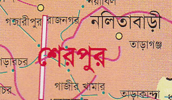 নালিতাবাড়ী সীমান্তে ২০ বোতল ভারতীয় মদসহ গ্রেপ্তার ২