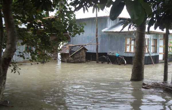 ভারী বৃষ্টি ও জোয়ারে পানিতে প্লবিত বরিশালের নিম্নাঞ্চল।।
