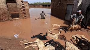 পাকিস্তানে ভারী বর্ষণে সৃষ্ট বন্যায় নিহত ৪৩।।