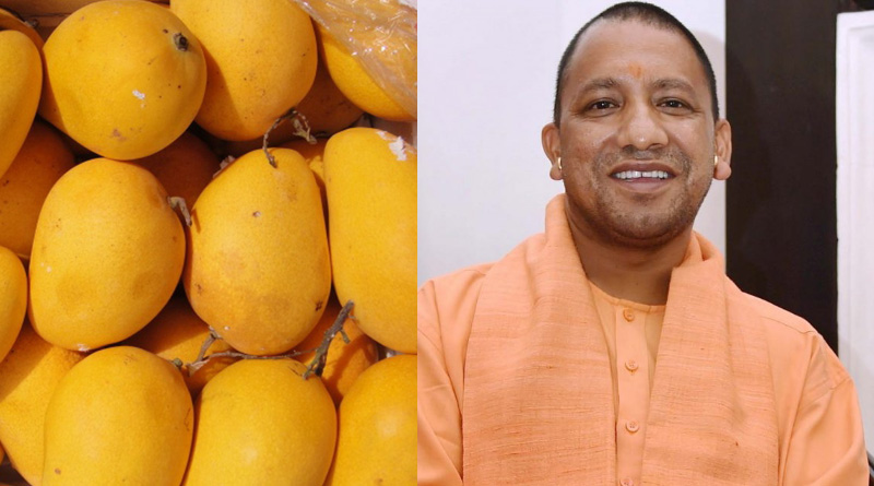 উত্তরপ্রদেশের মুখ্যমন্ত্রীর নামে যোগী আম ফলিয়ে পদ্মশ্রী পুরস্কারে ভূষিত হাজি কলিমুল্লাহ।।