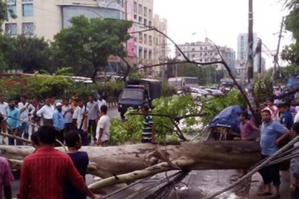 রাজধানীর ধানমন্ডিতে ঝড়ে গাছ পড়ে তীব্র যানজট, ভোগান্তিতে পড়ে নগরবাসী।।