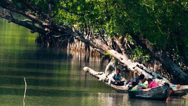 সুন্দরবনের সাতক্ষীরা রেঞ্জের আওতাভুক্ত এলাকা থেকে মুক্তিপণ দাবিতে ৫ জেলেকে অপহরণ।।   