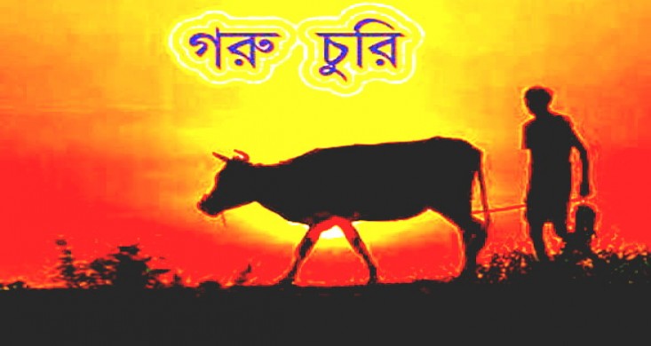 বাগেরহাটের মোরেলগঞ্জে ৬ গরু চুরি।।   