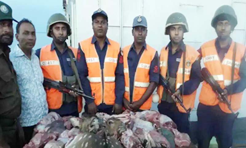 সুন্দরবন থেকে হরিণের ৮০ কেজি মাংস,মাথা ও চামড়া উদ্ধার।।   