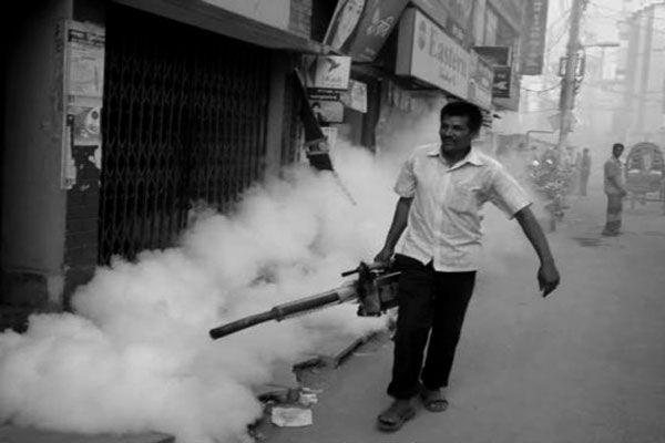 রাজধানীতে মশক নিধন অভিযান জোরদার ।।