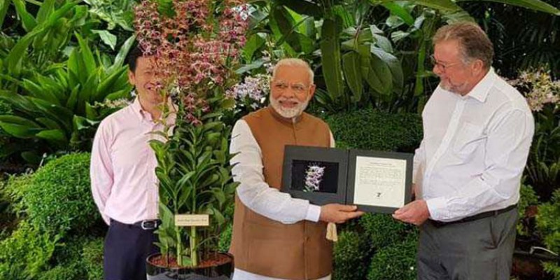 সিঙ্গাপুরে ভারতের প্রধানমন্ত্রী মোদির নামে অর্কিডের নামকরন।।