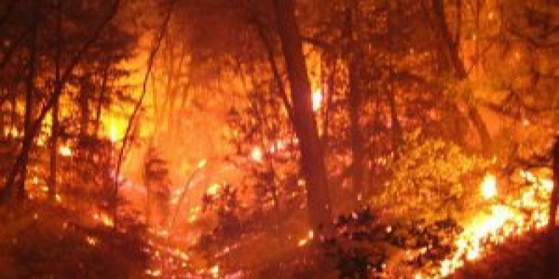ক্যালিফোর্নিয়ায় ভয়াবহ দাবানল।। দুই শিশুসহ নিহত ৫, নিখোঁজ ১৭