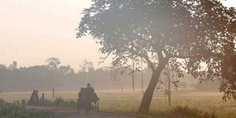 প্রকৃতি জানান দিচ্ছে শীতের আগমনী বার্তা   
