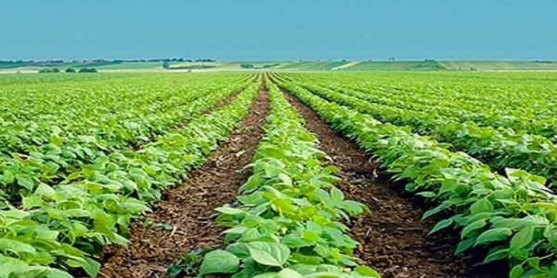 ২০৩০ সালের মধ্যেই দেশের কৃষি উৎপাদন দ্বিগুণ করার পরিকল্পনা॥   