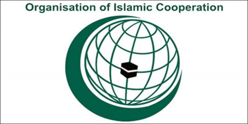 আন্তর্জাতিক মানদণ্ড অনুযায়ী নির্বাচন স্বচ্ছ ও বিশ্বাসযোগ্য হয়েছে॥ওআইসি