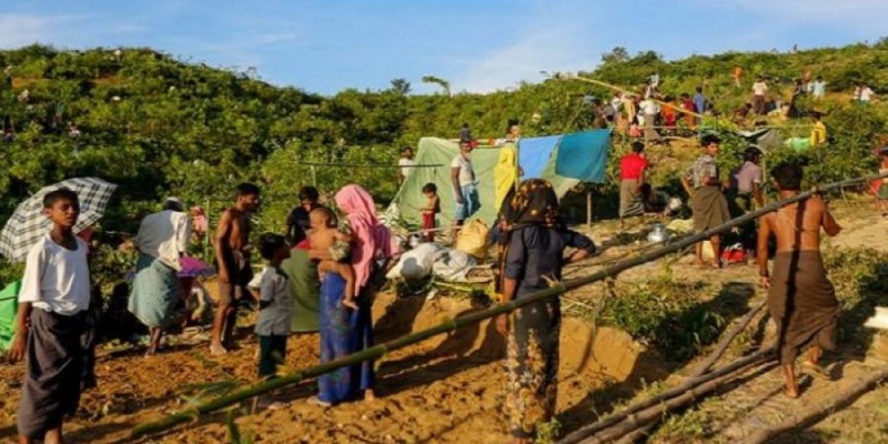 রোহিঙ্গা আবাসনের জন্য ৬ হাজার একর বন ধ্বংস॥আর্থিক ক্ষতি প্রায় ২ হাজার কোটি