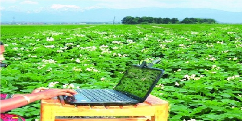 ডিজিটাল বাংলাদেশ॥ মাঠে বসেই ডিজিটাল সেবা পাচ্ছেন কৃষক