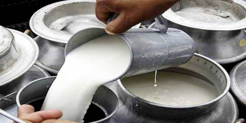 বাজারে বিক্রিত তরল দুধ॥৯৬ নমুনার ৯৩টিতেই ক্ষতিকর উপাদান