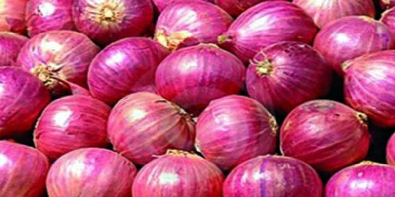 ঝালকাঠিতে আশ্রয়ন প্রকল্পের ঘরে গরু পালন !!