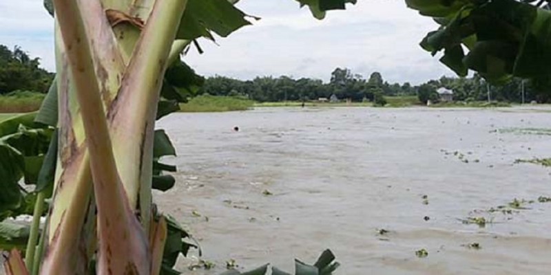 বন্যায় চাঁপাইনবাবগঞ্জের নিম্নাঞ্চল প্লাবিত॥   