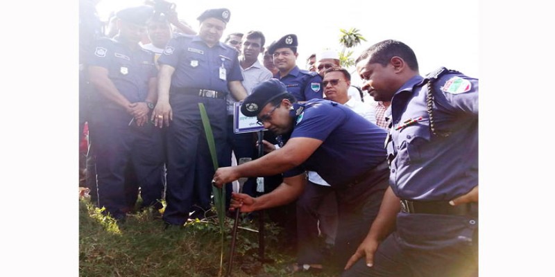 বঙ্গবন্ধুর নামে ১৯৭১টি চারা রোপণ ।।