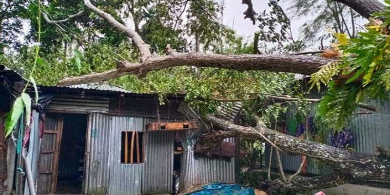 ঘূর্ণিঝড় ‘বুলবুল’র তাণ্ডবে আট জেলায় ১২ জনের মৃত্যু ॥ স্বাস্থ্য অধিদপ্তর