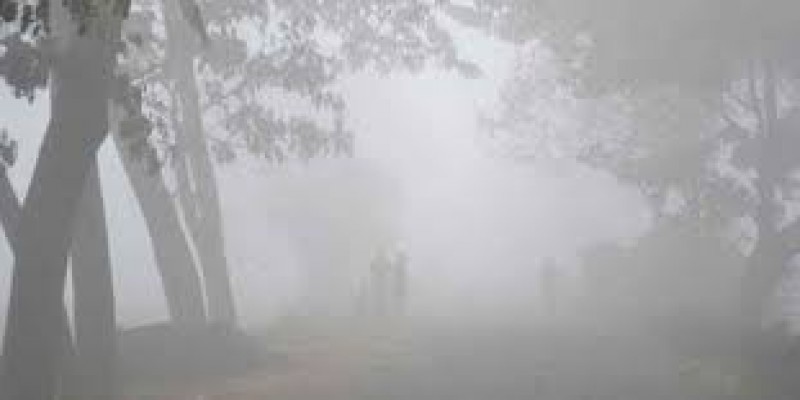 আবারও শৈত্যপ্রবাহ বয়ে যাওয়ার পূর্বাভাস॥