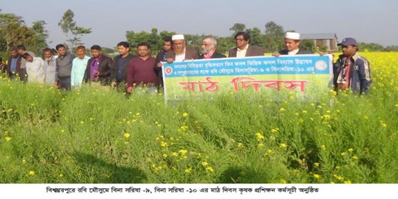 বিশ্বম্ভরপুরে রবি মৌসুমে বিনা সরিষা -৯, বিনা সরিষা -১০ এর মাঠ দিবস