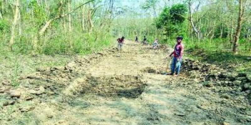 হবিগঞ্জের সংরক্ষিত বনে রাস্তা নির্মাণ বন্ধের নির্দেশ॥