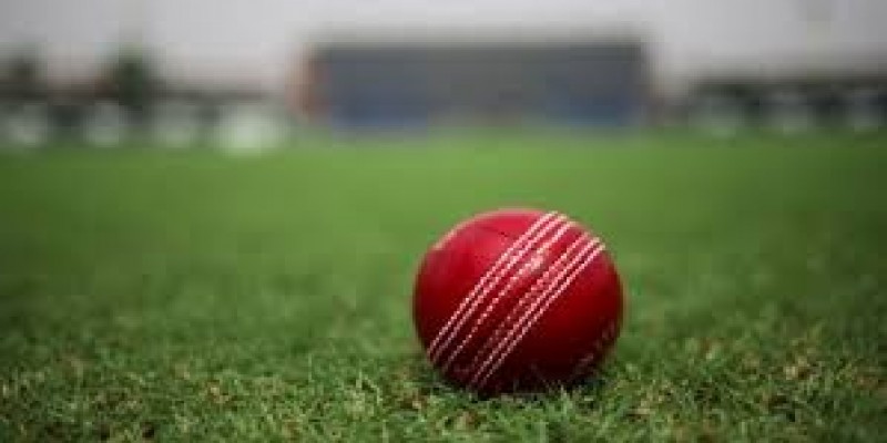 ক্রিকেটে থুতু ও ঘামের বদলে আসছে মোমের প্রলেপ॥