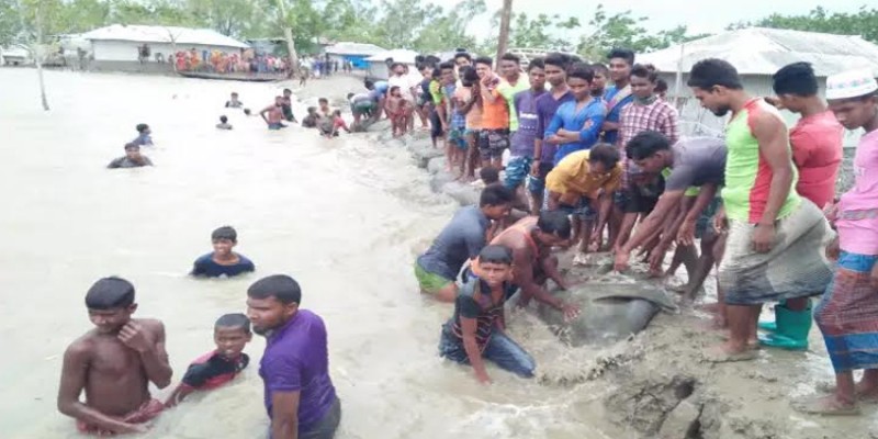 সাতক্ষিরার শ্যামনগরে পাউবোর বাঁধ ভাঙ্গন॥ প্লাবিত ৫ ইউনিয়ন, ভেসে গেছে কোটি টাকার মাছ