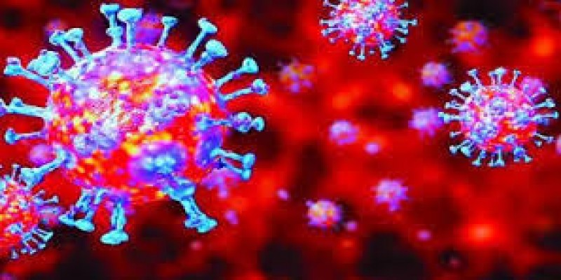 করোনা উপসর্গ নিয়ে সাতক্ষীরায় অবসরপ্রাপ্ত ব্যাংক কর্মকর্তাসহ ৩ জনের মৃত্যু॥   