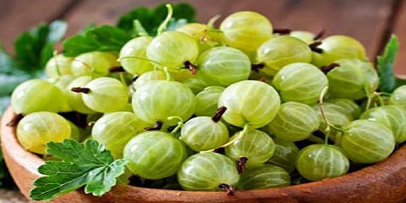কোষ্ঠকাঠিন্য ও পাইলসের সমস্যা দূর করে আমলকি॥   