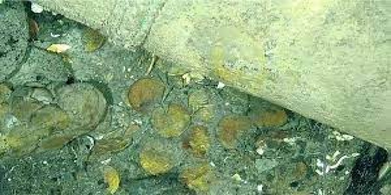 সমুদ্র তলদেশ থেকে উদ্ধার হল ৩০০ বছরের পুরনো গুপ্তধন॥