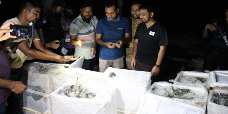 যশোরে অপদ্রব্য পুশ করা চিংড়ি জব্দ।। জরিমানা