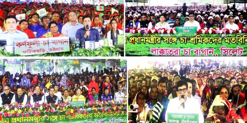 চা-শ্রমিকরা ভূমিহীন থাকবে না।। প্রধানমন্ত্রী